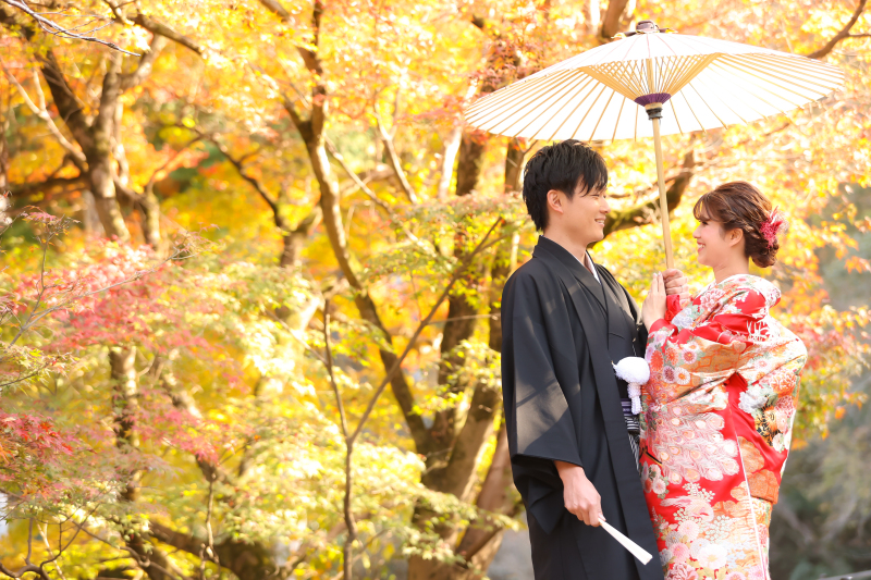 11月23日・26日・27日《限定!》プラン