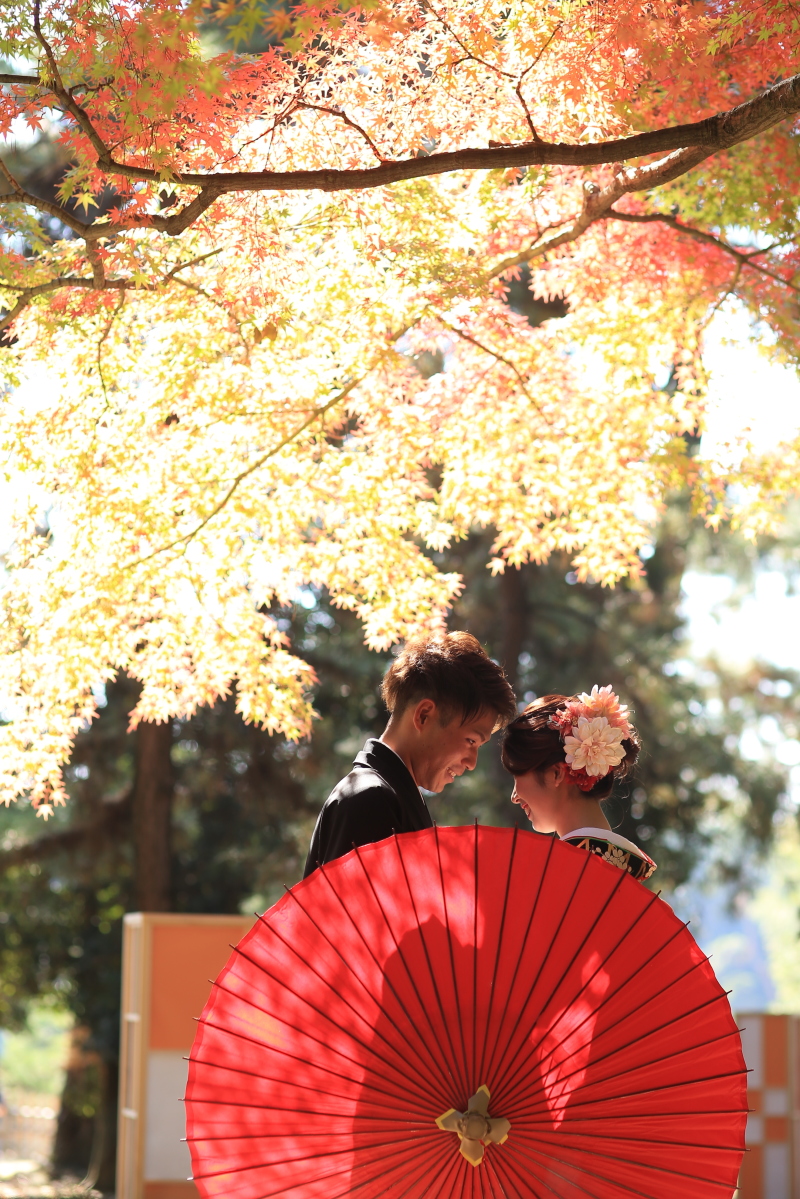 紅葉シーズン真っただ中**