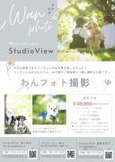 ワンちゃんフォトをお考えの方へ☆