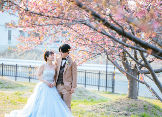 河津桜が咲きました