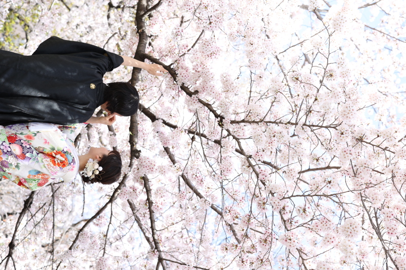 3月・4月撮影空きございます♩