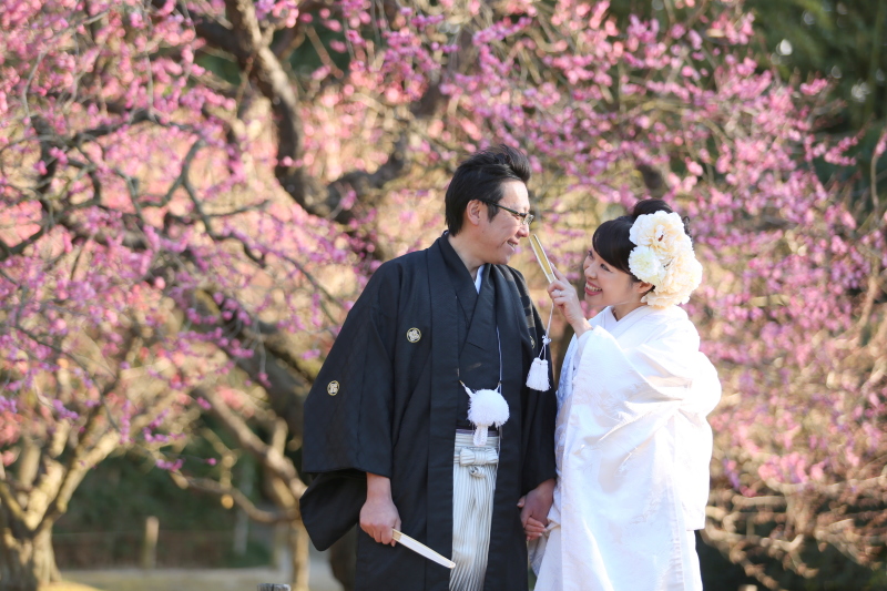 春！桜シーズンの空き情報＊＊