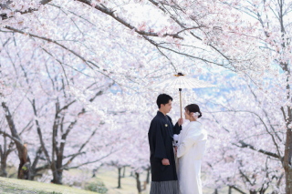 《前撮り・フォトウェディング》 岡山の桜ロケーション場所5選