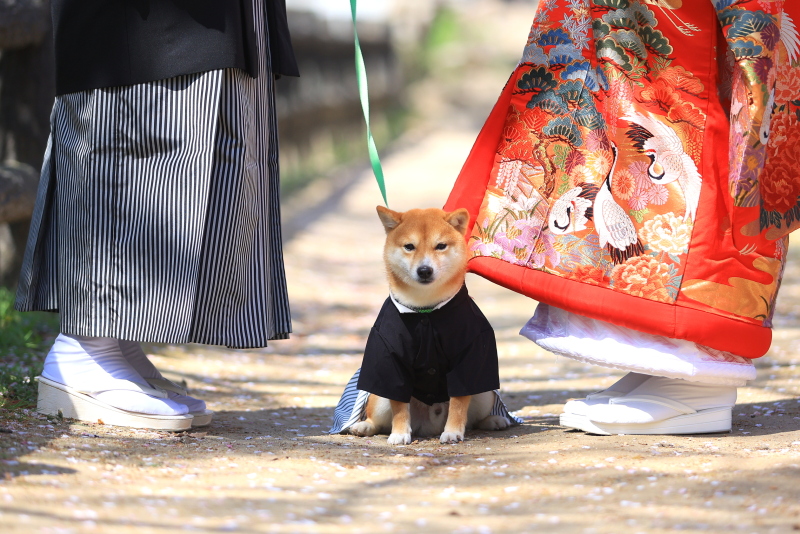 愛するペットと撮影★