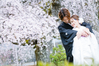 桜撮影に行ってきました