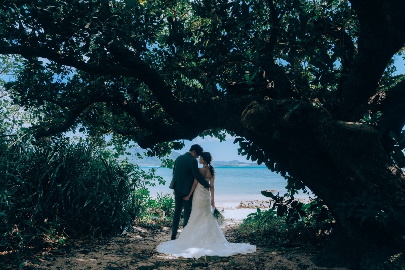 【石垣島の星空について】石垣島の魅力！満点の星空を見に石垣島に来ませんか？