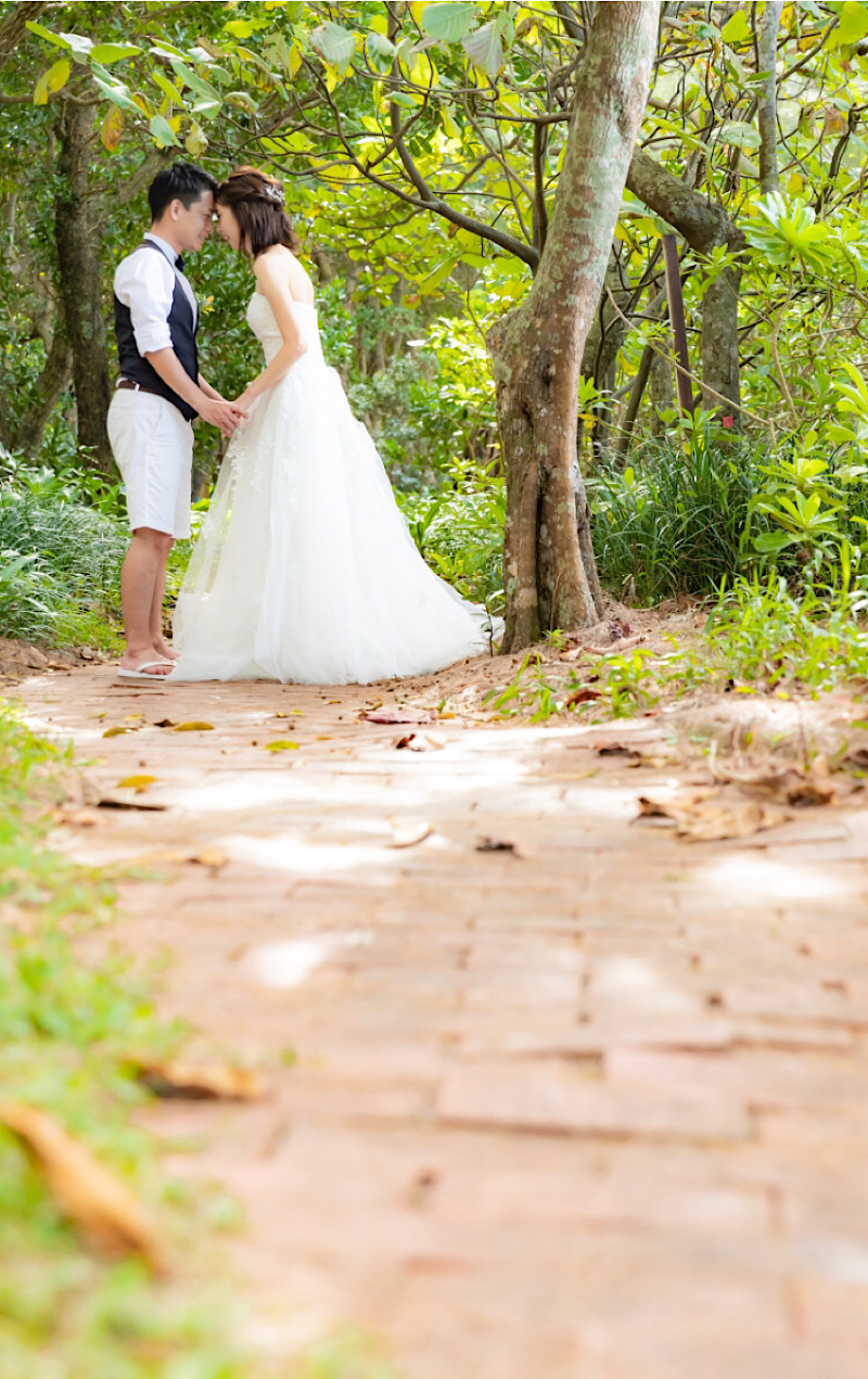 石垣島のいい所は海だけじゃない！！！