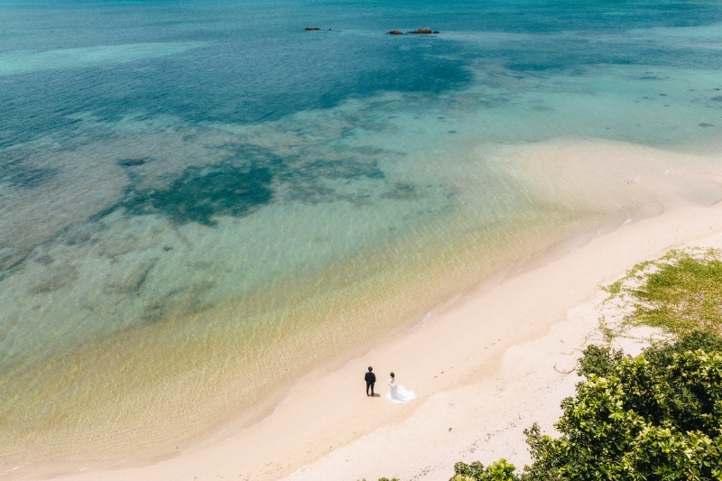 石垣島にいらした際の注意すべき交通事情。必見です！