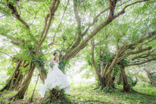 石垣島の魅力は海だけじゃ無い！！