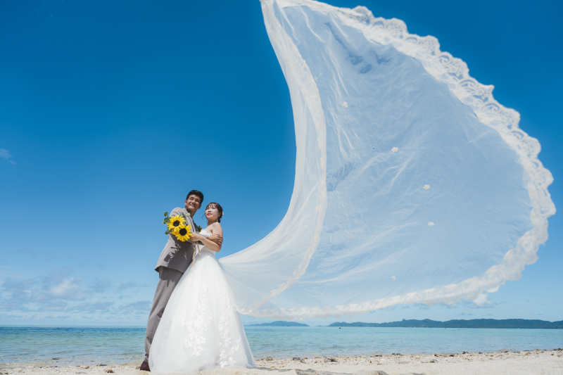 【綺麗な花々の紹介】沖縄で出会えるお花や植物！みなさんんはいくつ知ってますか♪