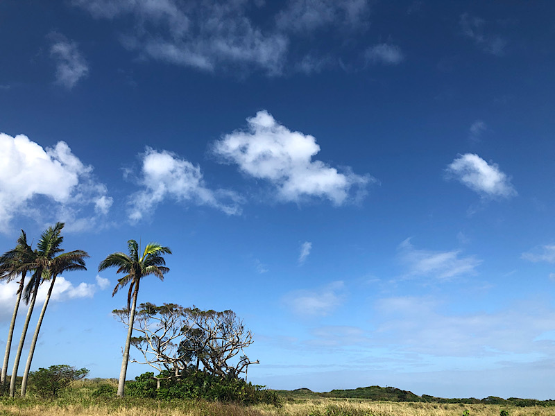 頑張るはやちゃんの自己紹介！！