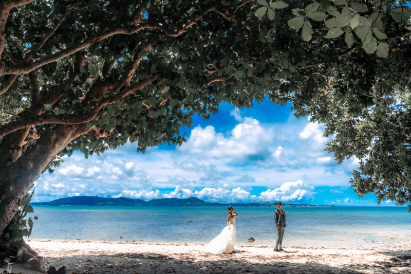 【石垣島ソウルフードをご紹介】石垣島の自慢の「おいしい」をご紹介します！