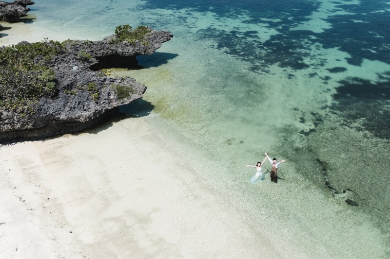 【綺麗な花々の紹介】沖縄で出会えるお花や植物！みなさんんはいくつ知ってますか♪