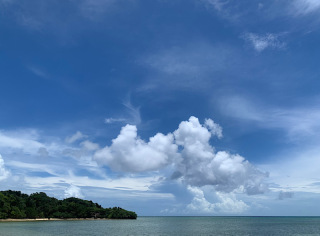 今日もいいお天気♪