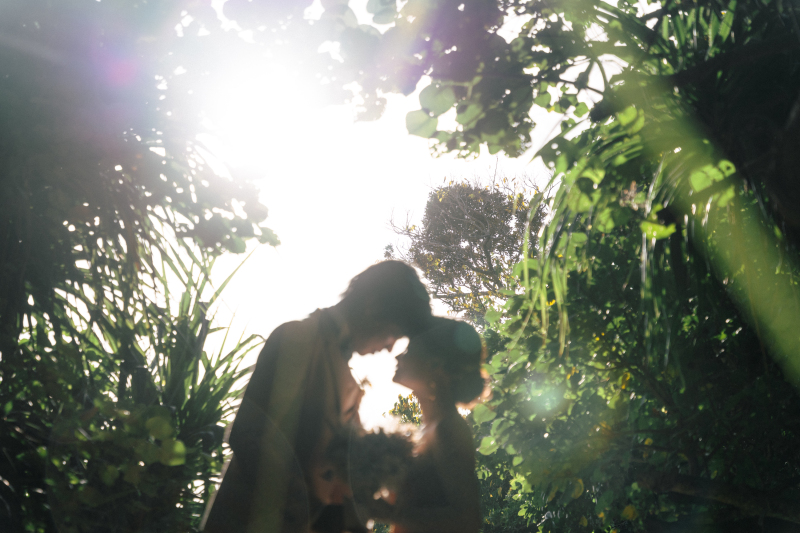 【綺麗な花々の紹介】石垣島では見慣れない南国植物にたくさん出会えます!