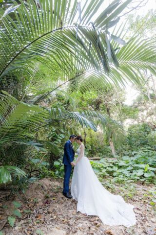 撮影オプションどうする?