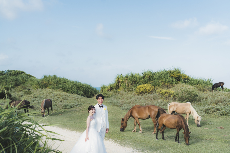 石垣島は南十字星を観測できる数少ない貴重な場所☆☆☆