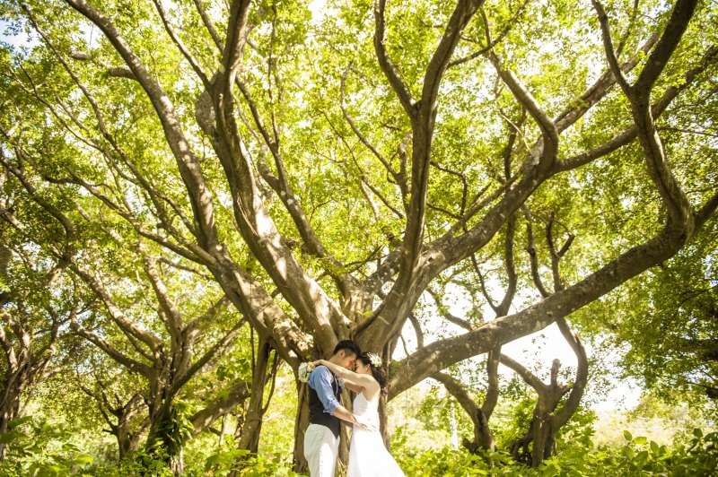 【期間限定】★11,300円割引★さらにミニアルバム付き☆どんなプラン?!