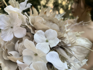 家族撮影プランのアテンドに入りました！