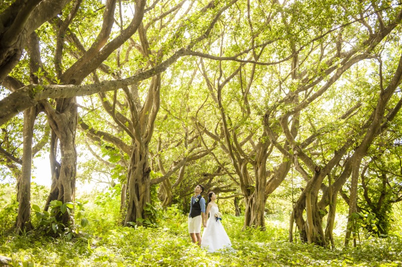 【期間限定】★11,300円割引★さらにミニアルバム付き☆どんなプラン?!