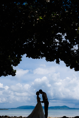 シルエット写真を紹介