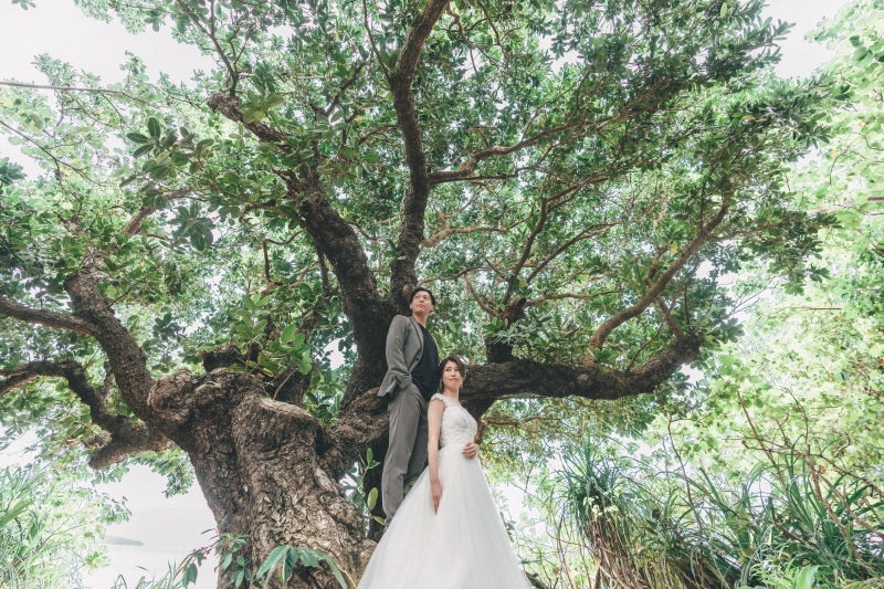 明日は大晦日、いよいよ2025年もラスト。皆様どんな一年でしたか？