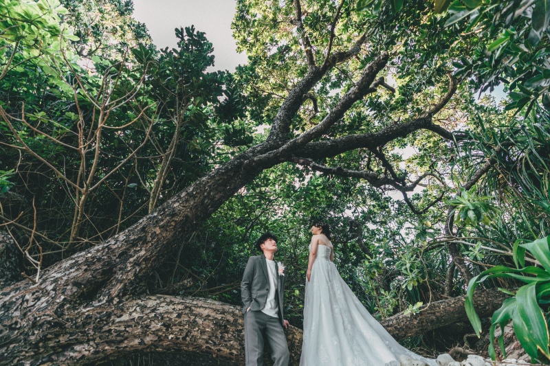 カメラマン指名についてのお話し・・・ぜひご検討を視野に入れてみてください♪