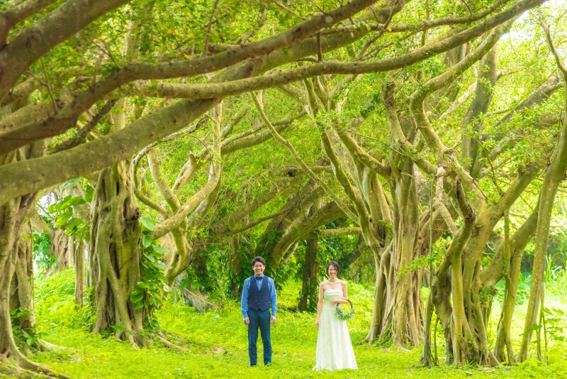 これからご予約を検討されている方におすすめプラン