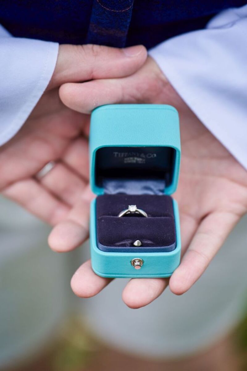 お手元ショット集