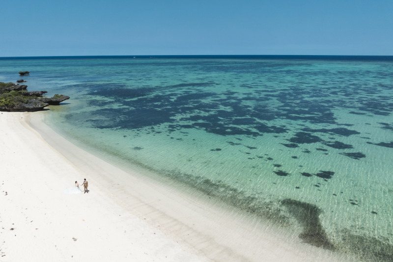 【綺麗な花々の紹介】沖縄で出会えるお花や植物！みなさんんはいくつ知ってますか♪