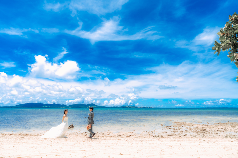 【綺麗な花々の紹介】沖縄で出会えるお花や植物！みなさんんはいくつ知ってますか♪