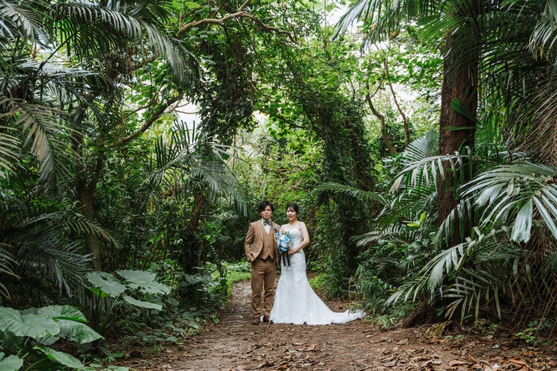 【石垣島の星空について】ぜひ石垣島で満天の星空を体験しましょう☆