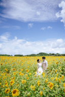 １DAYのスケジュール