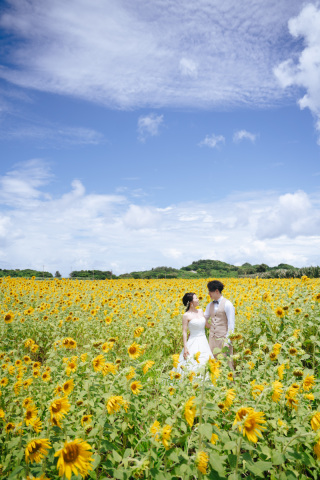 １DAYのスケジュール