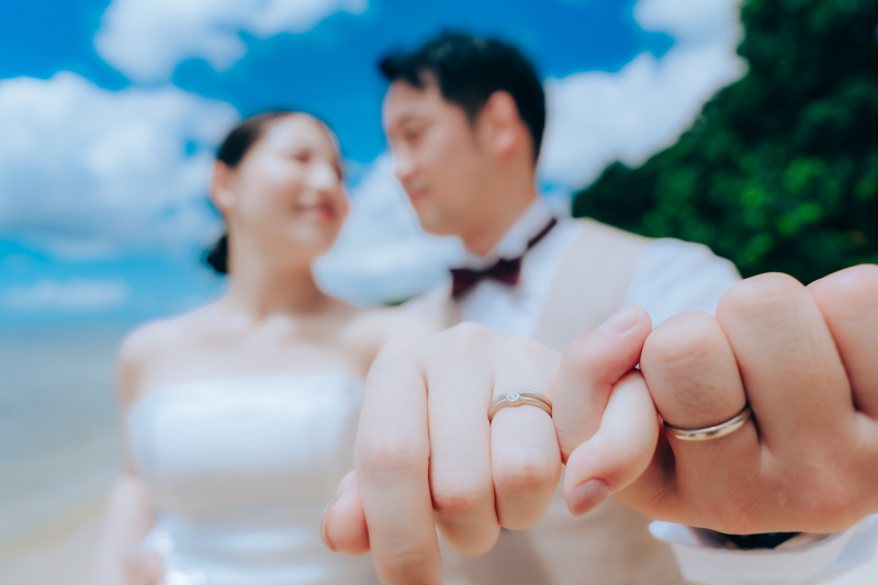 ぜひ見ていただきたい!特定天然記念物のカンムリワシに会えるかも・・・