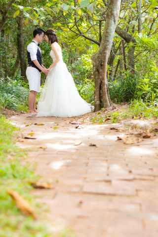 グリーンフォトまとめ