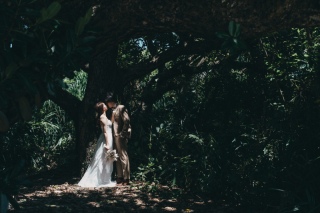 『コミコミプラン』てなに??