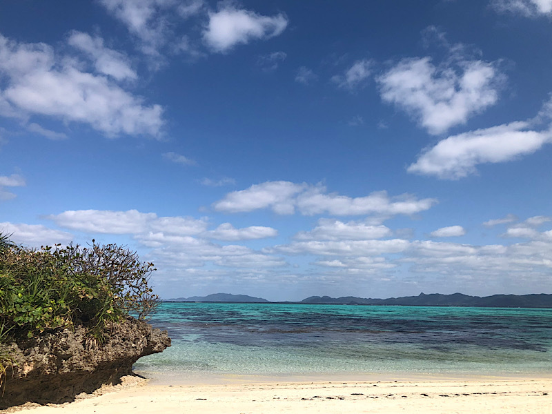 今日はいいお天気♪
