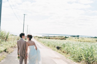 石垣島にある悪魔の実