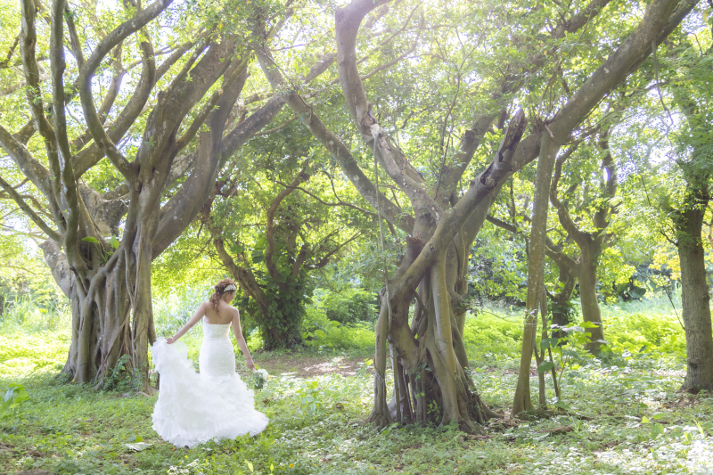 人気NO.1のプランをご紹介！