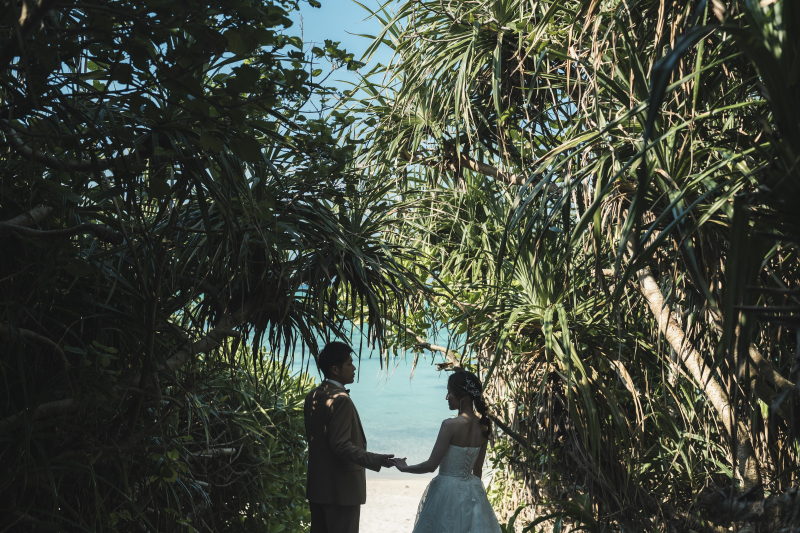 【コミコミプランとは？】プランのコミコミについてご説明します＾＾