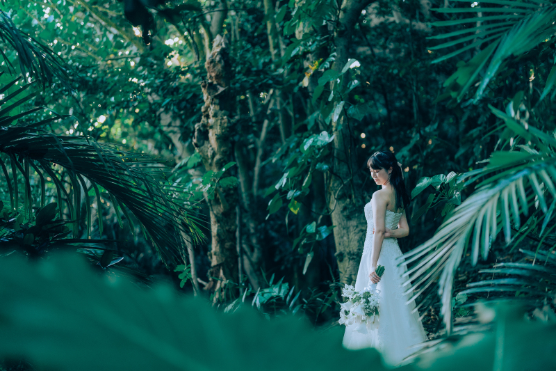 石垣島にいらした際の注意すべき交通事情。必見です!