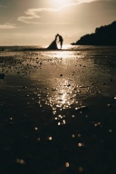 ムービーについて