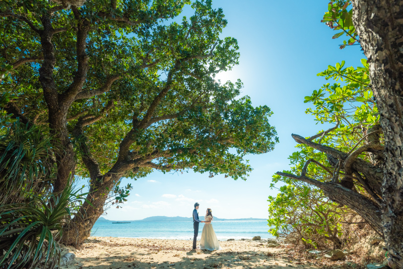 お客様の声＾＾