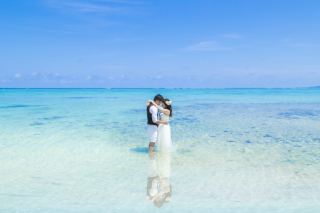 暑い夏は海の中へ!