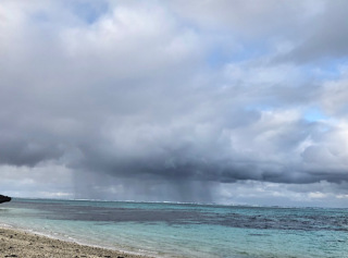 曇りの日でも素敵に♪
