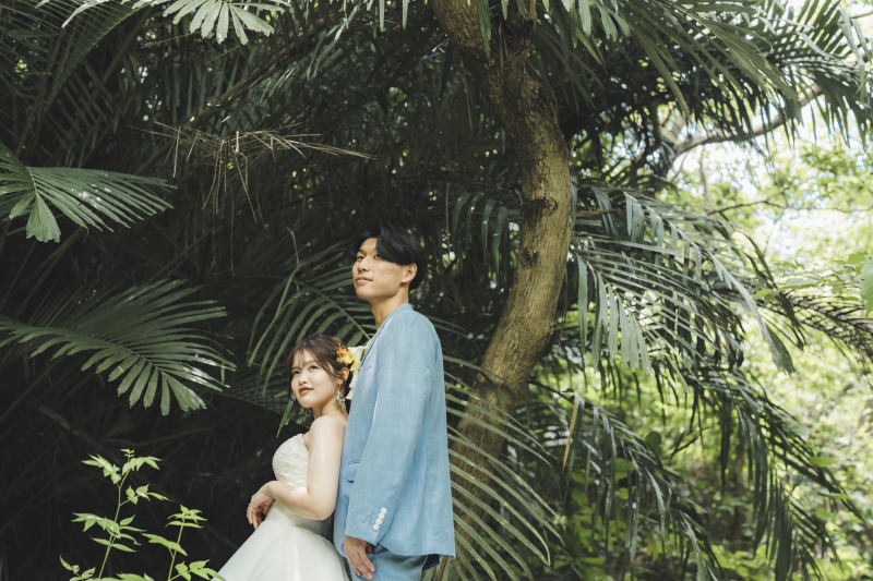 ぜひ見ていただきたい!特定天然記念物のカンムリワシに会えるかも・・・