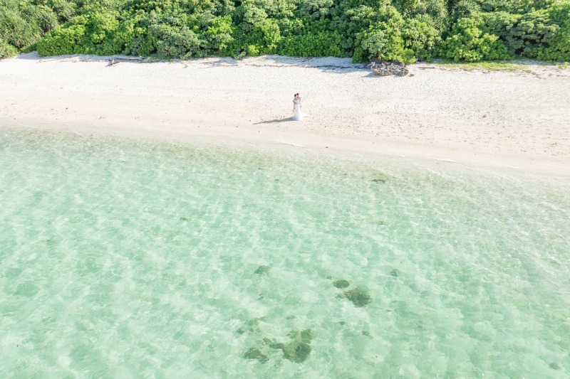 【綺麗な花々の紹介】石垣島では見慣れない南国植物にたくさん出会えます!