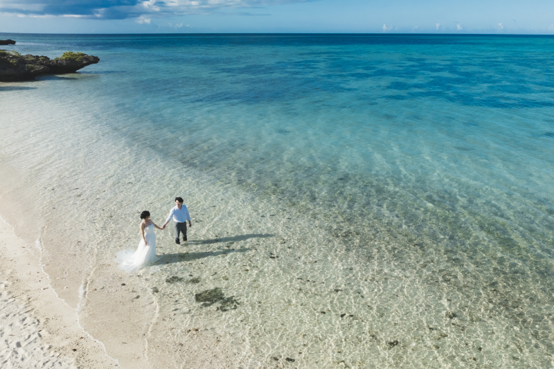 【綺麗な花々の紹介】見慣れないたくさんの南国植物に出会える石垣島も魅力の一つ！