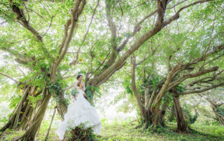 石垣島のいい所は海だけじゃない！！！